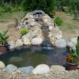 Rybník na dachu - jak navrhnout, vybudovat a zdobit zahradní rybník...